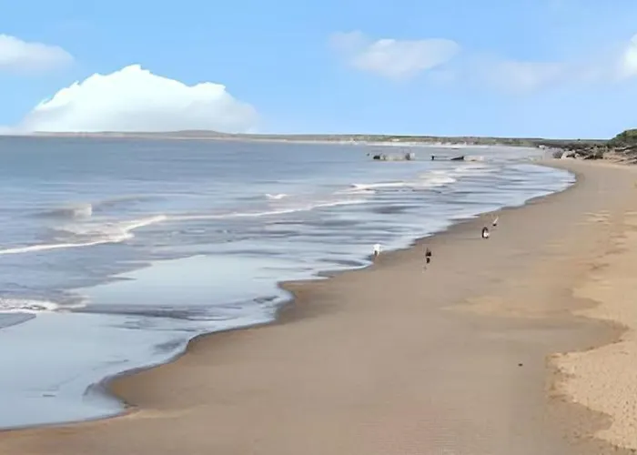 Maison Charmante A Avec Piscine Partagee 度假居 *